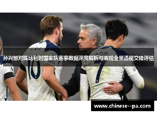 孙兴慜对阵比利时国家队赛事数据深度解析与表现全景透视交锋评估