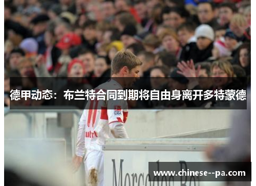 德甲动态：布兰特合同到期将自由身离开多特蒙德